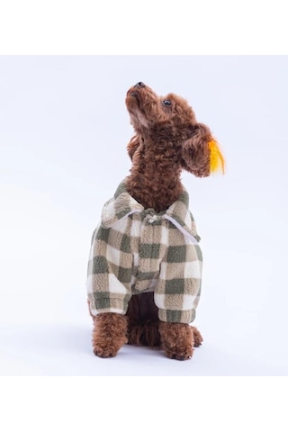 Pawstar Yeşil Chicago Checks Küçük Irk Köpek Pofuduk Ceket
