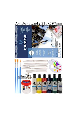 Canson Çok Amaçlı Sanatsal Blok A4 200 Gr 20 Yaprak 1 Adet 6 Renk Akrilik Boya Fırça Palet Spatula Fırça Temizleme Kabı Çok Renkli