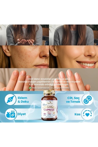 Collagen Kapsül 30 Adet, Hidrolize Peptit 500 Mg, Tip 1-3-5-10, C Vitamini, Çinko, D3, Biotin, Selenyum, Hyaluronik Asit Ve Yumurta Zarı