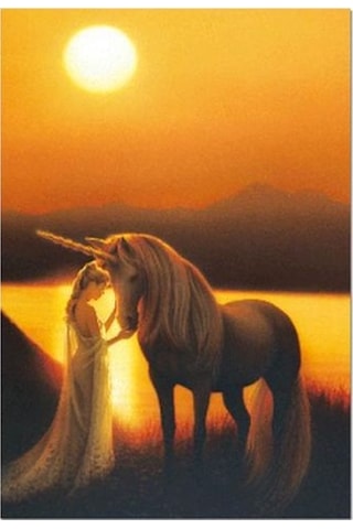 Enchanted Evening Puzzle