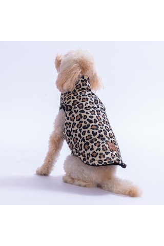 Mbeya Gold Leopar Desen Yelek Köpek Yeleği Köpek Kıyafeti Köpek Yağmurluk