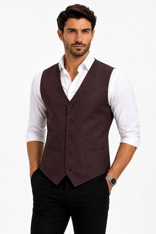 Mentor Regalo Erkek Yelek V Yaka Bordo Puanlı 50304