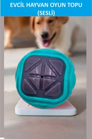 Zetconcept Sesli Köpek Topu Kendinden Sesli Köpek Oyuncağı