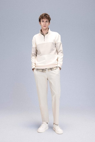 DeFacto Comfort Regular Fit Rahat Kalıp Dik Yaka Fermuarlı Çizgili Kalın Sweatshirt D2401AX24AUER42