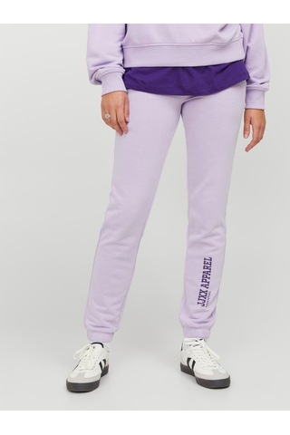 Jjxx Jxrıley Slım Lw Pants Swt Kadın Mor Eşofman Altı - 12250114