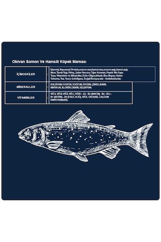 Obivan Hypoallergenic Somonlu & Hamsili Köpek Maması 15 Kg