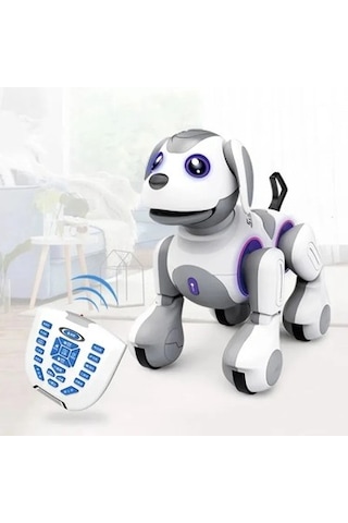 Uzaktan Kumandalı Programlanabilir Robot İle Eğlence