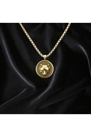 Ayı Kafası Çelik Kolye Gümüş