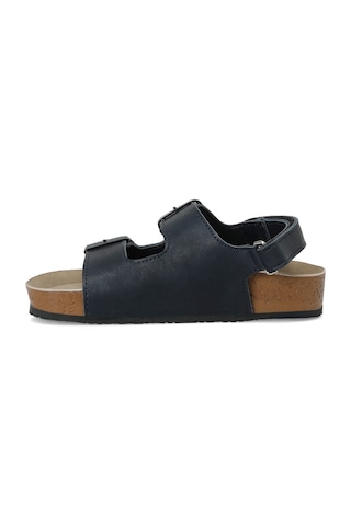 Polaris Horsen.p Lacivert Erkek Çocuk Sandalet Horsen.p6fx 000000000102689722