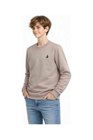 Baglan Erkek Çocuk Sweatshirt Bgl-st05228 Bej