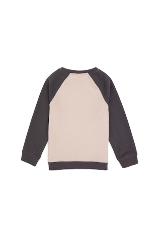 U.s. Polo Assn. Erkek Çocuk Gri Sweatshirt 50316542-vr024 Grı