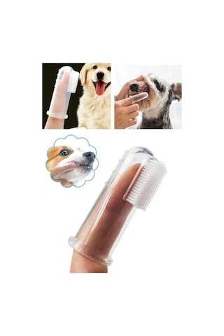 Kedi Köpek Diş Temizleme Fırçası-24242412111
