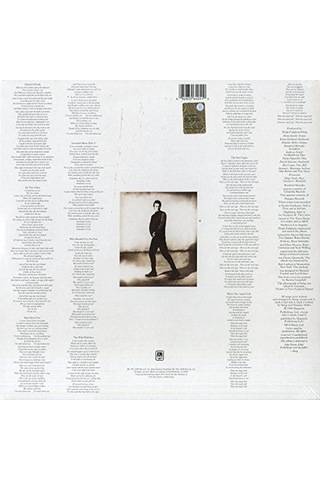 Sting - The Soul Cages Plak