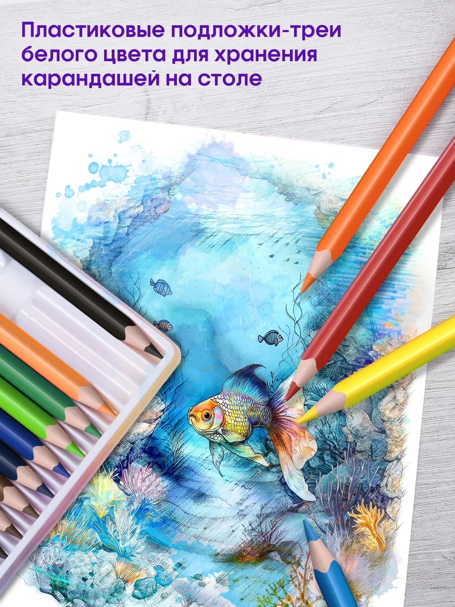 Berlingo Okul İçin Yumuşak, 72 Renkli Resim Kalemleri 65542526 Siyah