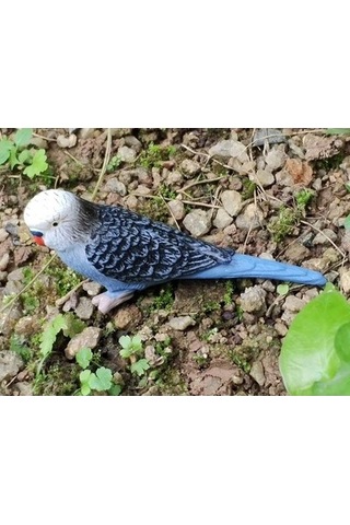 Lijinxu Magideal Minyatür Hayvanlar Kuşlar Modeli Heykelcik Papağan-2