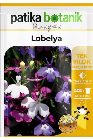 Patika Botanik 100 Adet Lobelya Çiçek Tohumu Lobeliaerinus