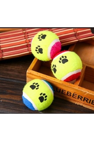 At Getir Köpek Eğitim Topu 5639