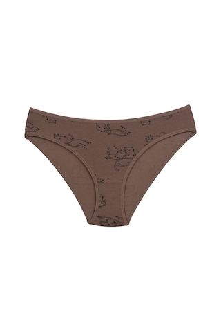 Asist Secret Magic Asm1106 Kadın 3 Lü Renkli Karışık Pamuklu Bikini Külot Renklı
