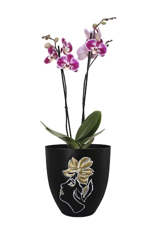Lea İnsan Figürlü Siyah Metal Saksı Çap 18cm Yükseklik 19cm
