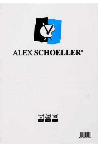 Alex Resim Kağıdı 35x50 Cm 120 Gr 10'lu