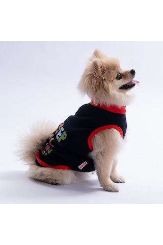 Lacivert Keep Show-ıng Up Tişört Kedi Köpek Tişörtü-kedi Köpek Kıyafeti