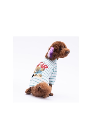 Yeşil Bear With Me Baskılı Triko Sweat Kedi Köpek Sweat Kedi Köpek Kıyafeti