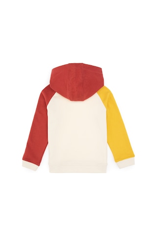 U.S. Polo Assn. Erkek Çocuk Krem Kapüşonlu Sweatshirt 50316606-VR256