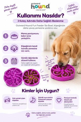 Outward Hound Fun Feeder Slo Bowl Orta Boy Yavaş Yeme Köpek Mama Kabı
