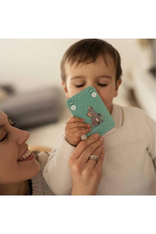 Sassi Happy Families - The Jungle