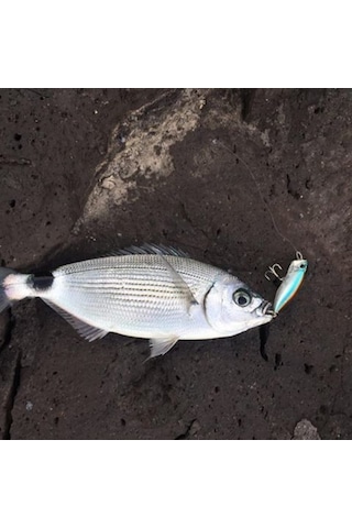 Realis Popper 64 Aoa0220 / Astro Red Head
