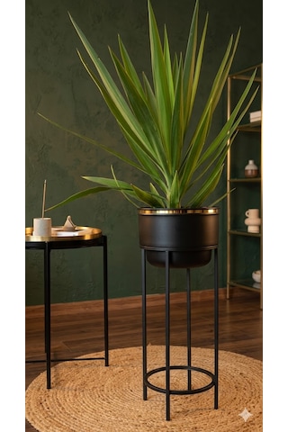 Bitkidunyam Mat Ayaklı Saksı, Metal, Altın Detaylı Kenar, Modern Minimalist Stil, İç Mekan, 62x26 Cm No:12 Siyah