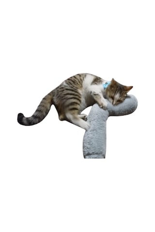 Tineke Kedi Otlu Sarılma Yastığı Uyku Oyuncağı 30 CM