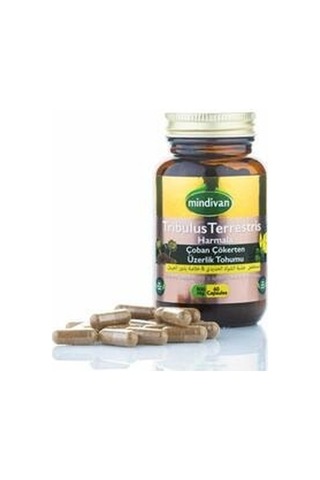 Mindivan Çoban Çökerten & Üzerlik Tohumu Ekstresi