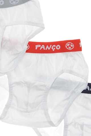 Panço Erkek Çocuk Beyaz 3'lü Slip Çamaşır Seti