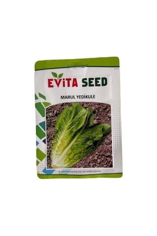 1 Adet Yedi Kule Düz Marul Tohumu 10 Gr.