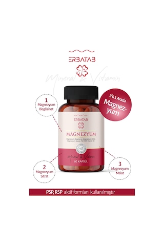 Erbatab Magnezyum Bisglisinat Sitrat Malat & Vitamin B2 B3 B6 3'lü Form 60 Kapsül