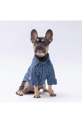 Pawstar Luss Mavi Kedi Ve Küçük Irk Köpek Gömleği