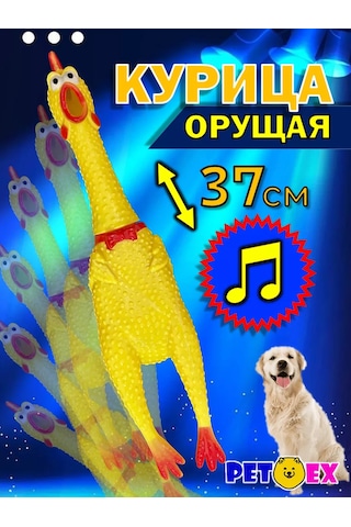 Pet-ex Köpekler İçin Tavuk 37 Cm - Yaprak Seti 193310546