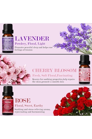 Salking Uçucu Yağ Seti, 6 X 10 Ml Saf Koku Yağları, Aroma Terapi Ve Difüzör İçin