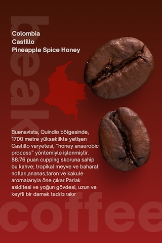 Colombia Pineapple Spice Çekirdek Kahve 250 Gr , %100 Arabica Çekirdek Kahve