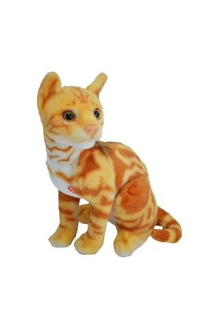 43 Cm Peluş Kedi Halley Çok Renkli