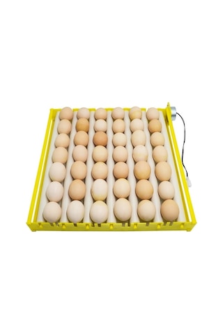 Pazly Yumurta Tüpleri Tepsi Suntek Ördek Kaz İnkübatör Uyumlu 7 Li