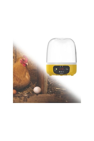 Trendooze Yumurta Yumurta Suntek Otomatik Makinesi Kuluçka Dijital 5 Gm