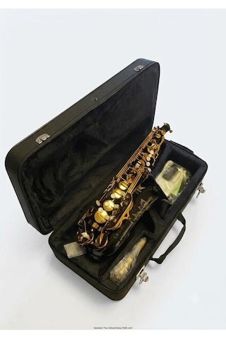 Black Raven Alto Saksafon Parlak Siyah Br-as200bk