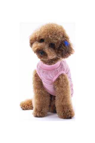 Pembe Jerry Tişört - Kedi Köpek Kıyafeti-organik Pamuklu Penye Tişört