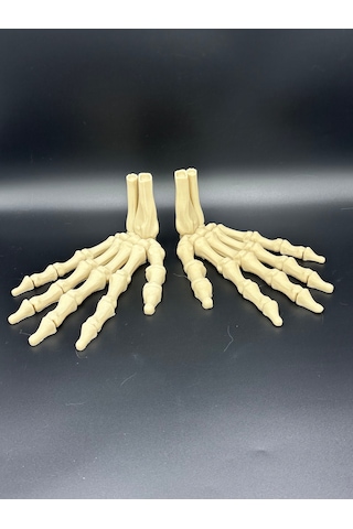 Anatomi- Çift Iskelet El / Sağ Ve Sol