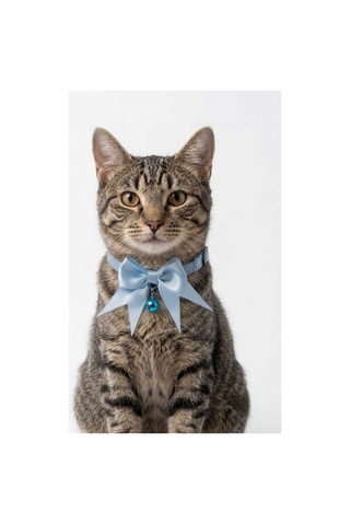 2'li Set Fiyonklu Ve Zilli Kedi Tasması