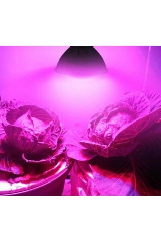 3 Watt Bitki Yetiştirme Ledi Full Sprectrum Grow Led Spot 1