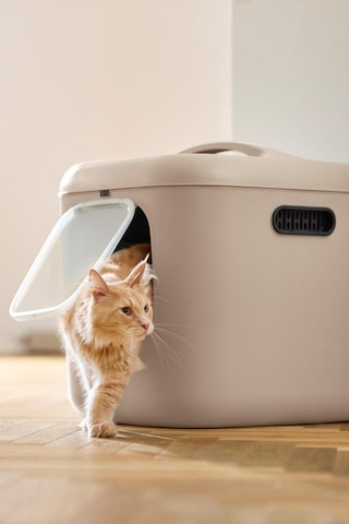 Biala Xl Kedi Tuvaleti Büyük Kediler Ve Çok Kedili Evler İçin İdeal