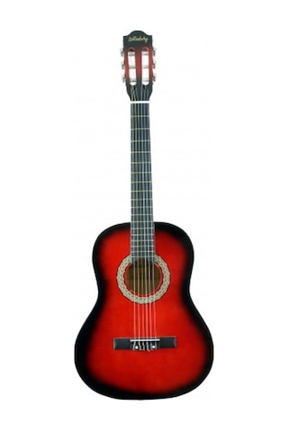 Lichtenberg Cg836 Rds Klasik Gitar Taşıma Çantalı